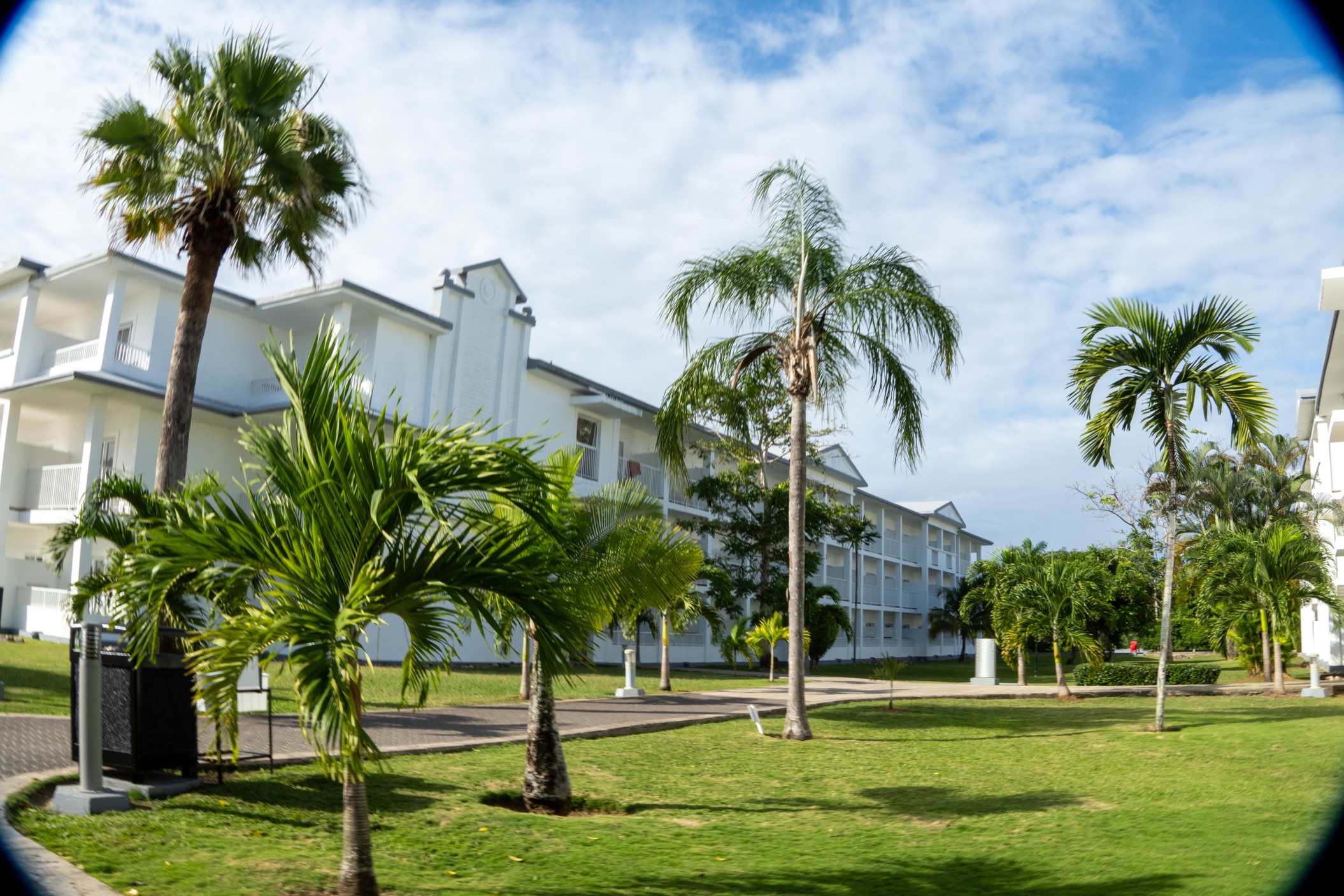 &quot;If You Bake It: The Story of Kathy&#39;s Bakery&quot;